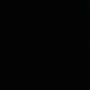 Meet your Posher, Owen